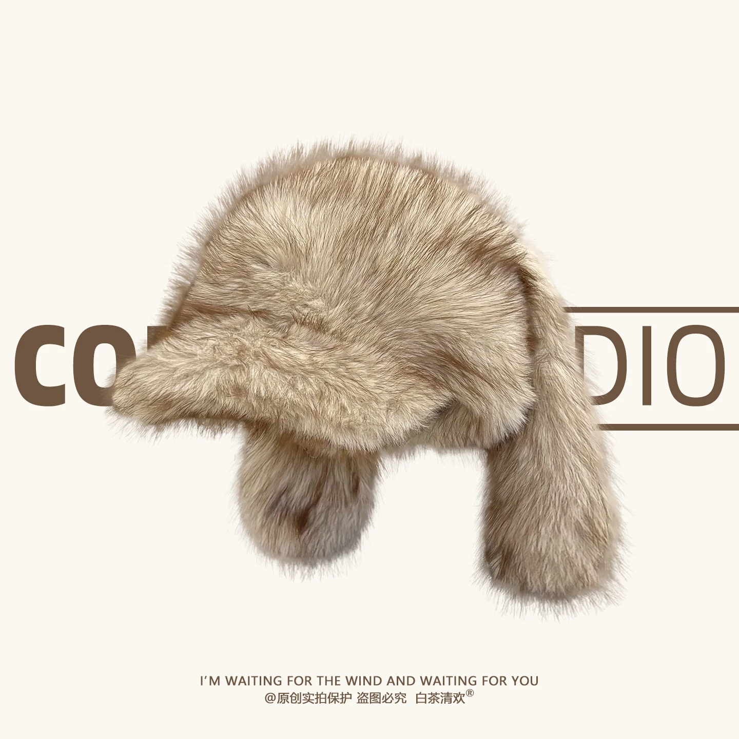 

Japanese Retro Plush Rabbit Ears Baseball Cap Women Winter Warm American Hot Girl Casual Versatile Plush Duckbill Hat