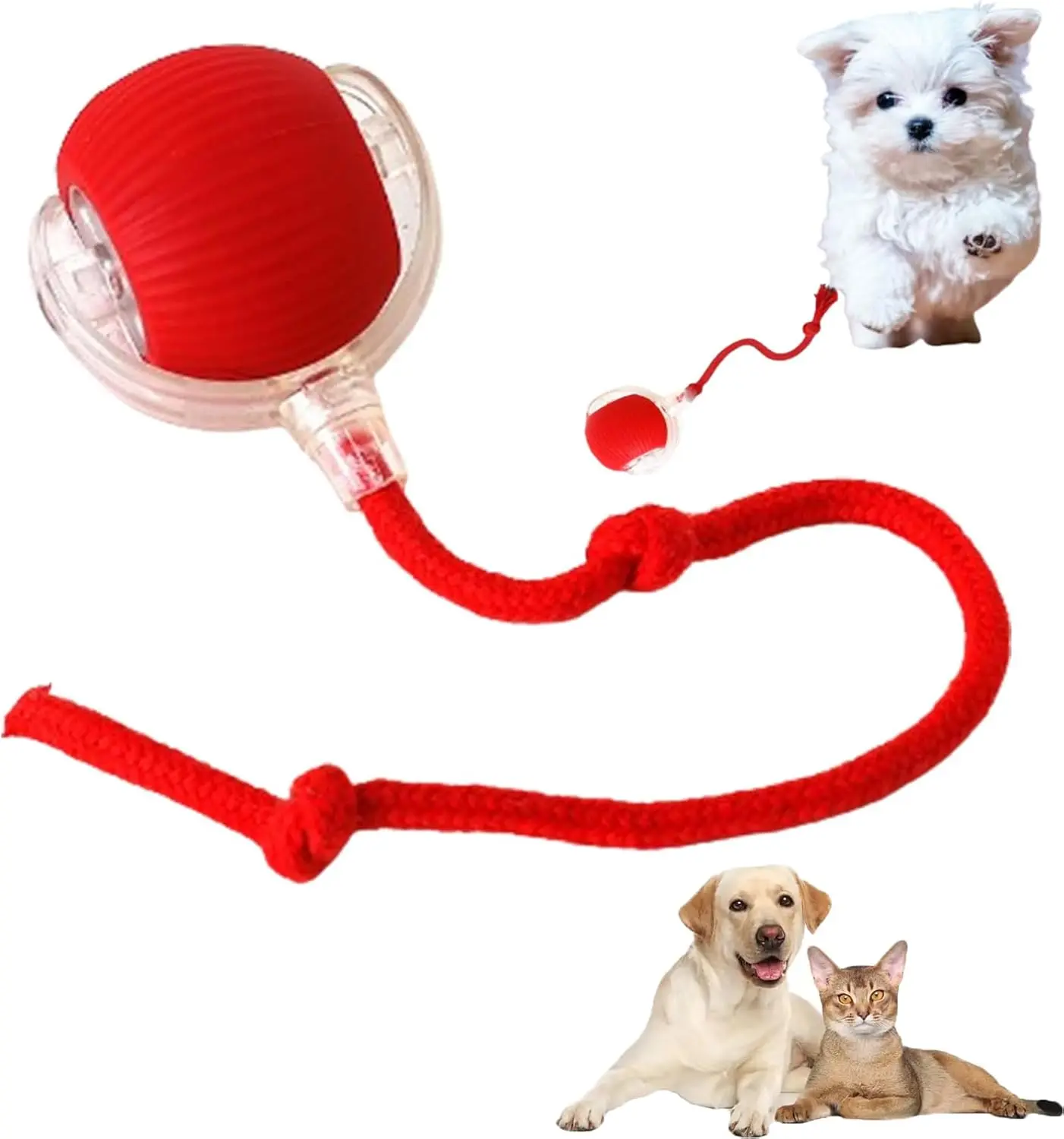 Balle roulante interactive pour chiens et chats, jouet à mâcher automatique, jouet coule pour chiens et chats