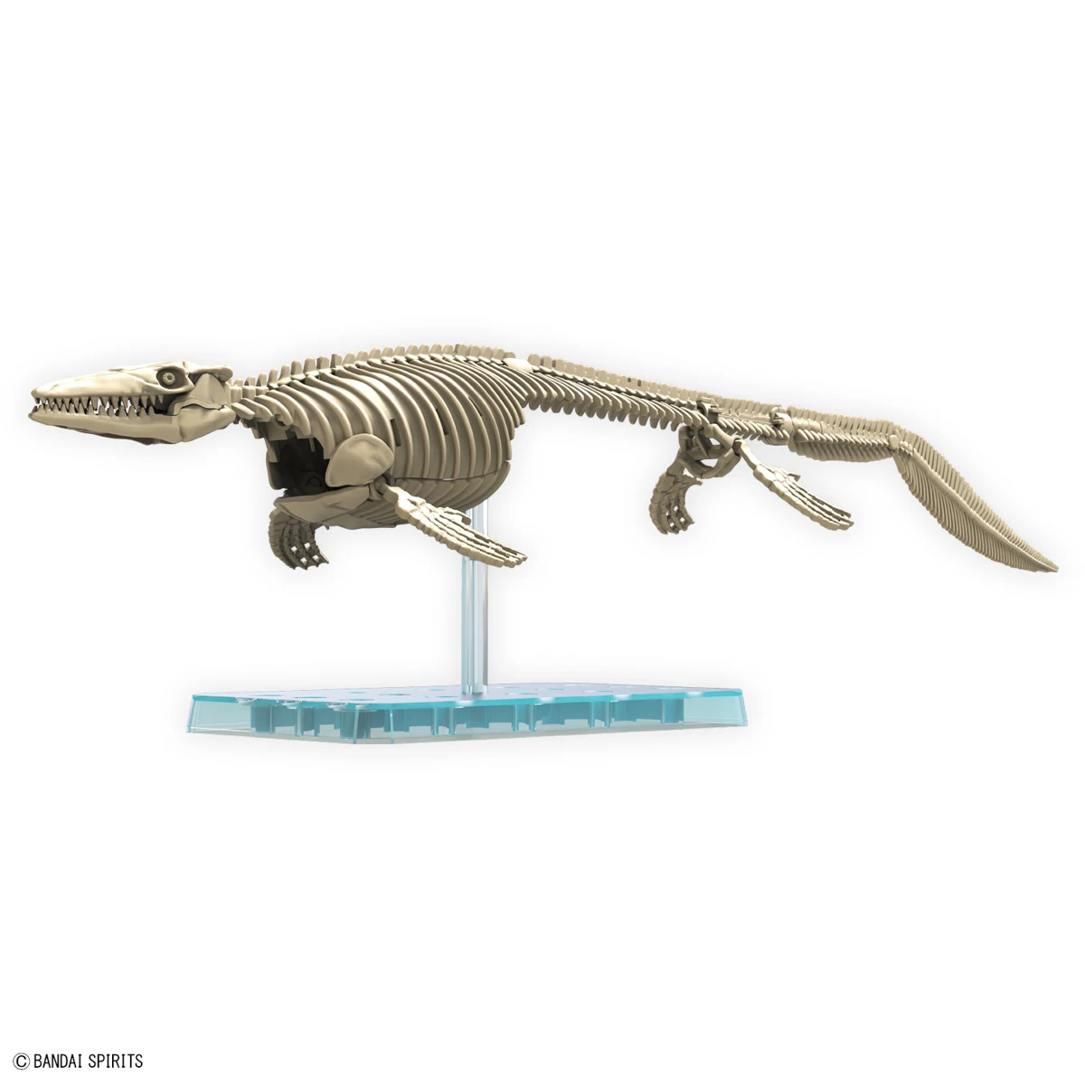 Bandai Original Plastic Skeleton Plannosaurus Mosasaurus Dinosaur Assembly Action Figures Anime Model Kit In Stock