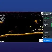 DOWNSCAN WITH FISHREVEAL