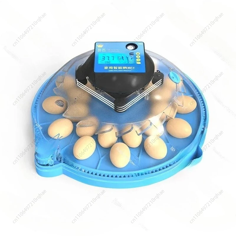 

Incubator Small Household Mini Incubator Intelligent Automatic Bird Eggs Rutin Chicken Incubator