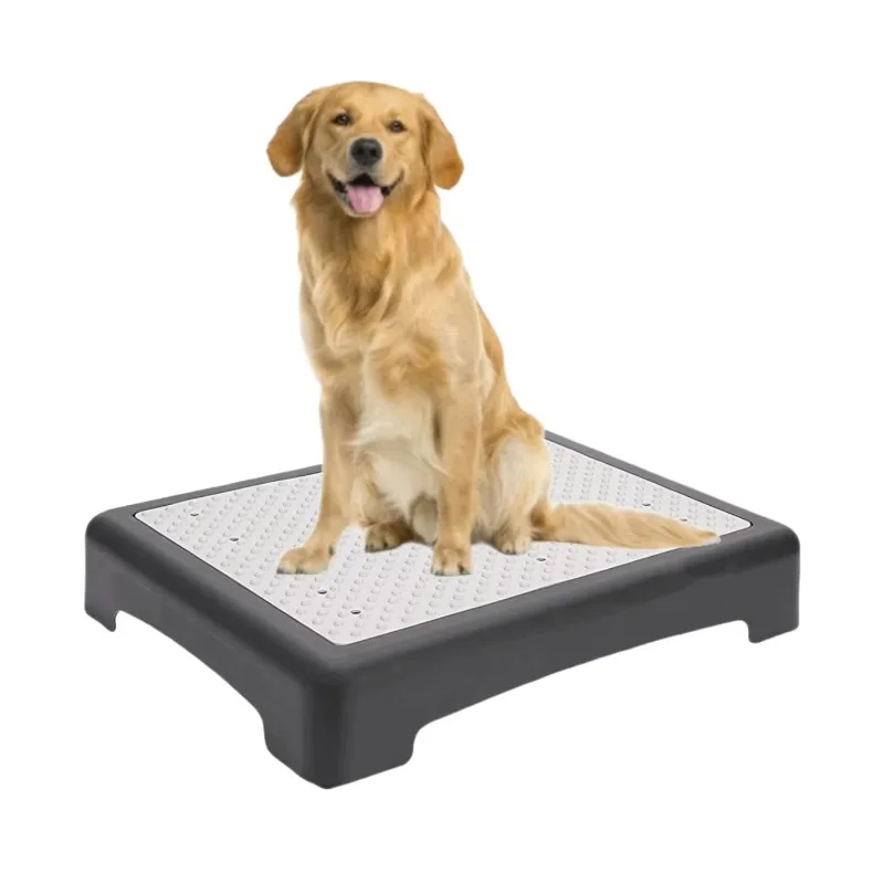 

New Design Dog Training Place Board Hunting Dog Training Platform Portable Dog Agility Training Equipment