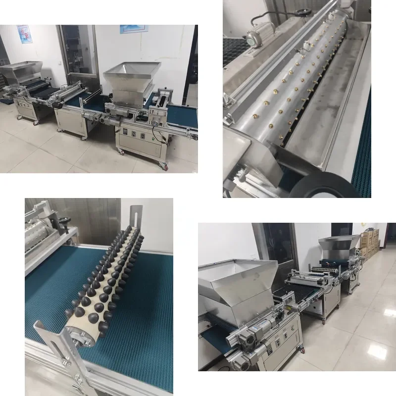Easy to Operate Tray Seedling Machine for Sowing Various Vegetable Seeds with Stable Quality
