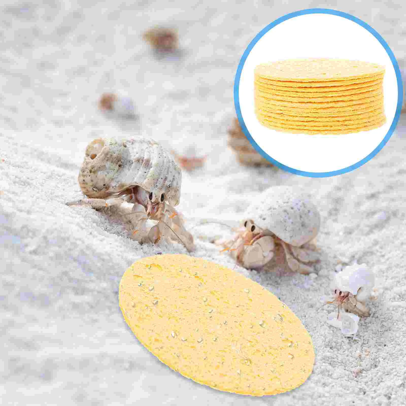 

12Pcs Hermit Crab Sponges Humidity Crab Sponges Crab Drinking Sponges Cleaning Sponges Supplies