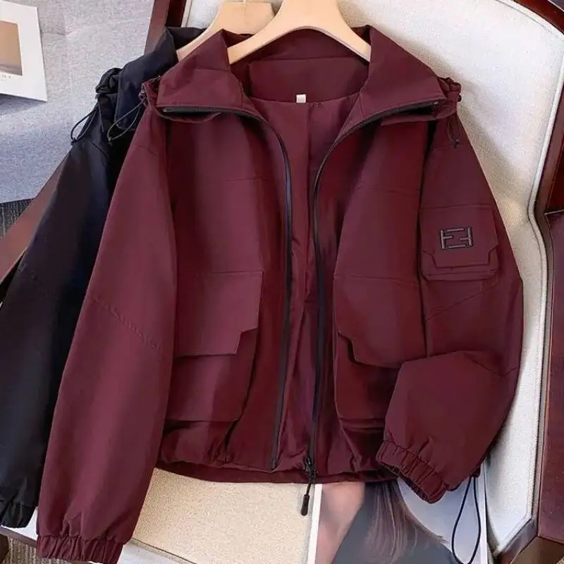 

Новая маленькая короткая свободная повседневная стильная куртка с капюшоном на молнии, топ большого размера