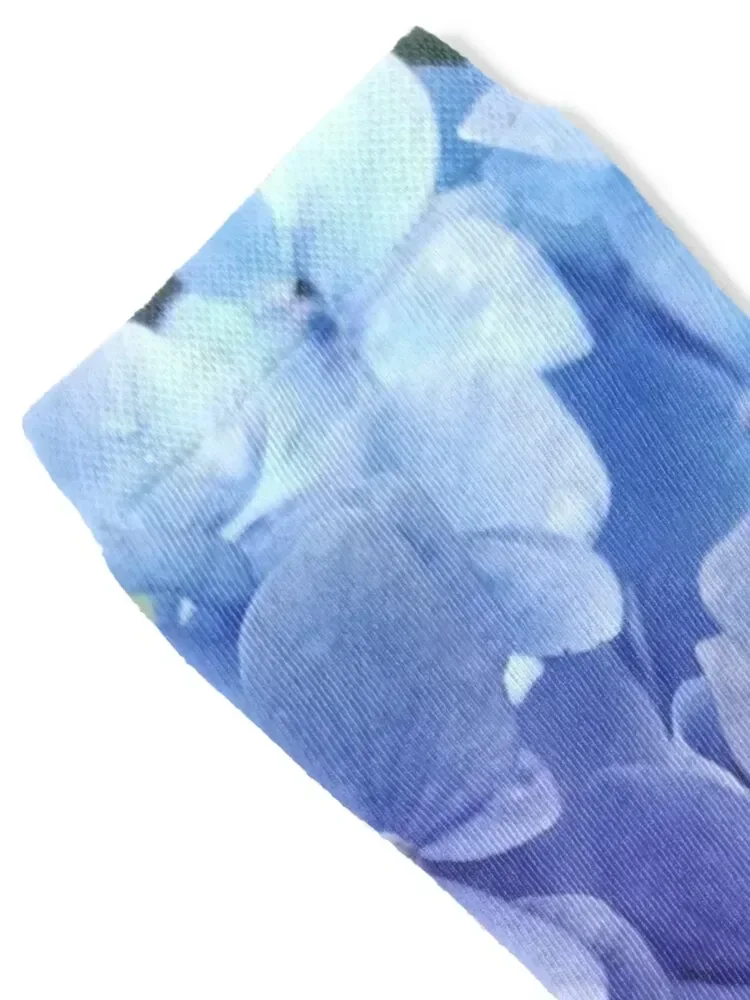 Blue hydrangea photograph Socks hiphop Argentina snow funny gifts Boy Child Socks Women's