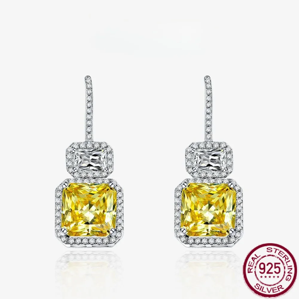 New S925 Silver 5-Carat Square Chamfered 10 * 10 High Carbon Diamond Earrings for Women's Luxury Full Diamond Engagement Jewelry