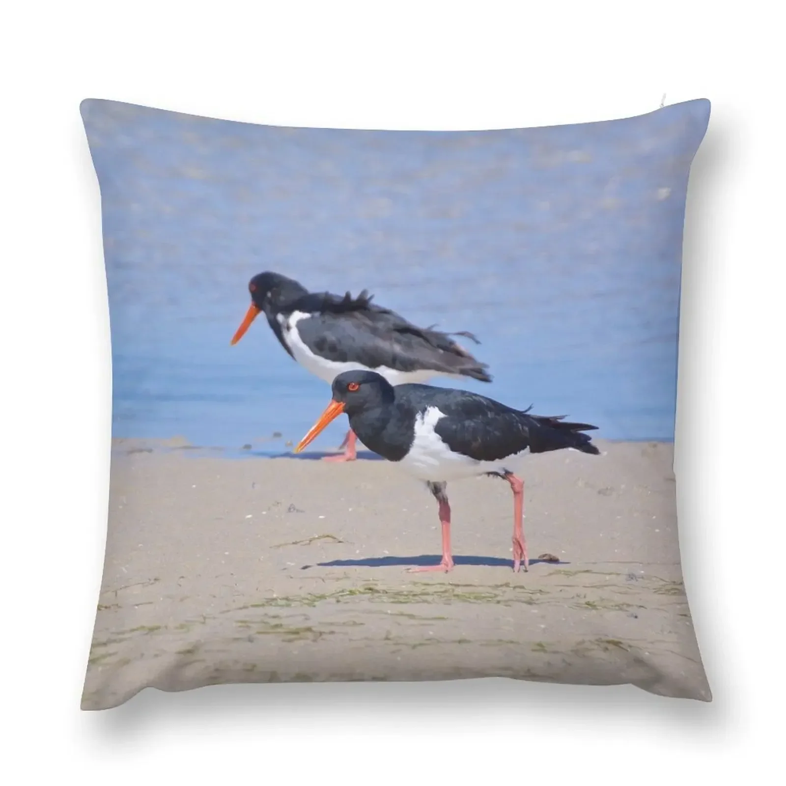 SHOREBIRD ~ Pied Oystercatcher hW72sWhJ by David Irwin Throw Pillow Luxury Pillow Cover Christmas Pillow Cases