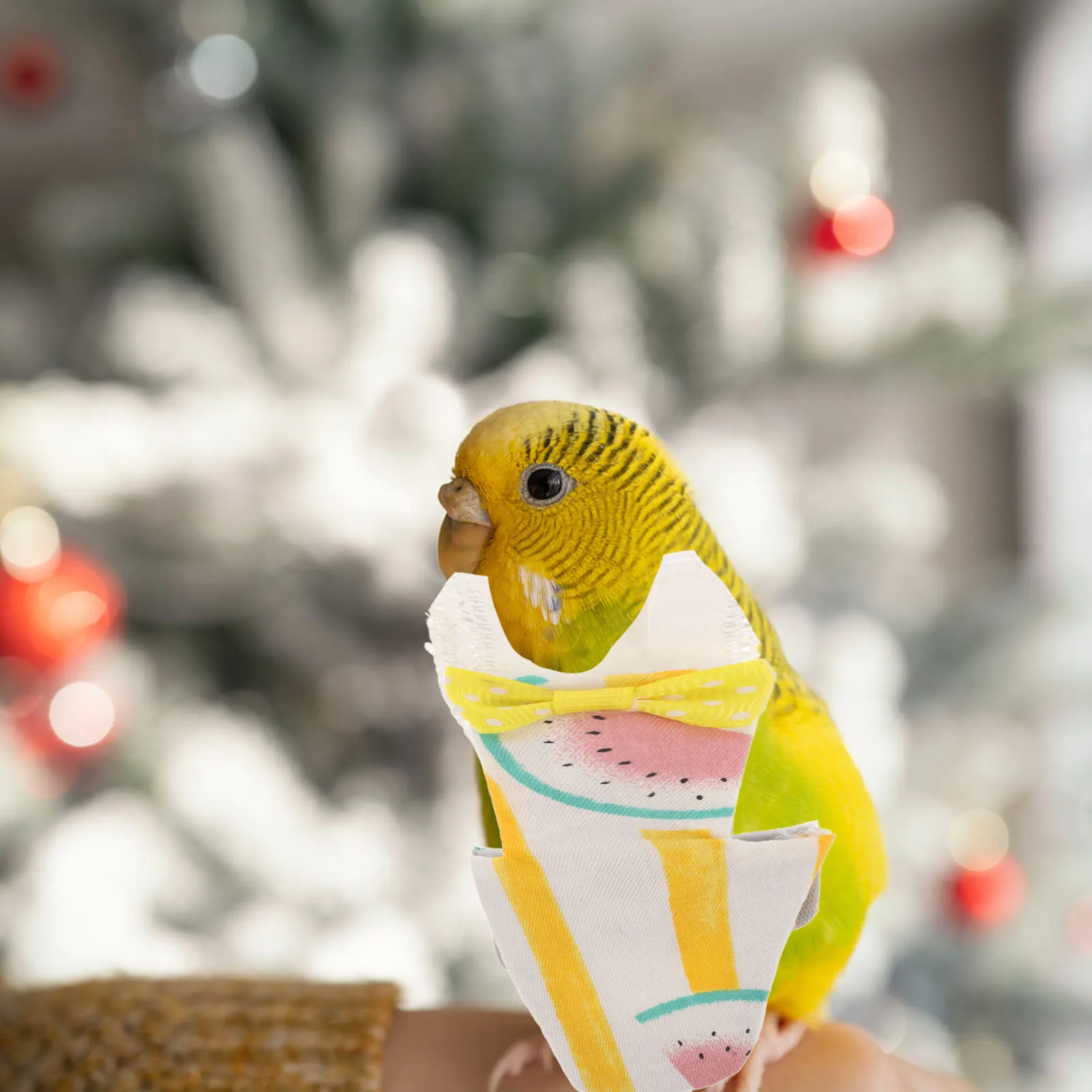 

Pet Bird Diapers Reusable Flight Suit Parakeets Clothes Parrots Small Nappy Pants Bright Cotton Care Easy Wear