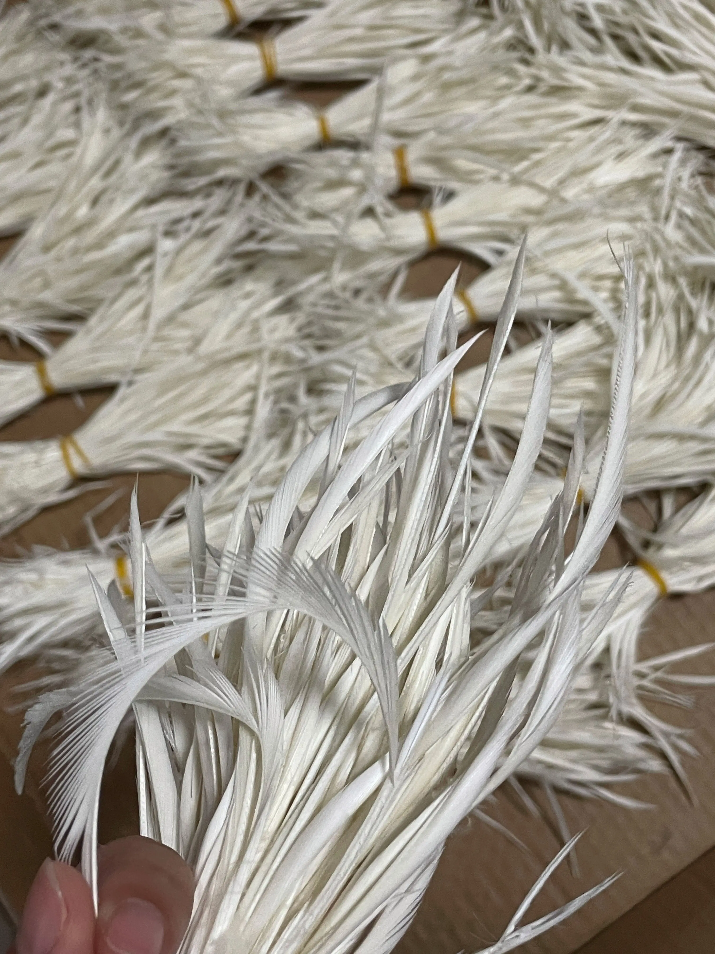 5-7inch Real Goose Biot Feathers Fly Tying Material Plumage Decoration Jewelry Accessories Decoration Filament Plume Wholesale