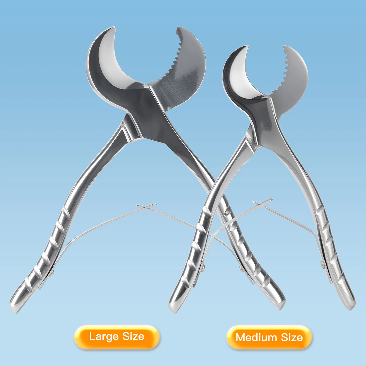 Tijeras para yeso Dental, tijeras medianas/grandes de acero inoxidable, instrumento de 18/20cm, alicates para yeso, 1 ud.