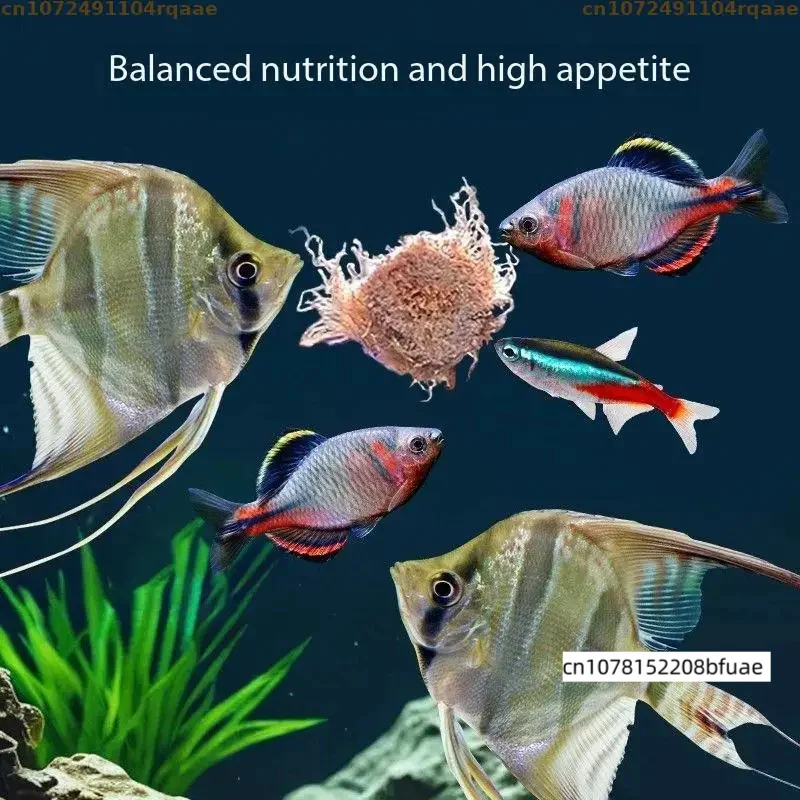 Aquarium Fish Feeder Matching Refill, Freeze Dried Tubifex Cube Refill Feed, Protein Nutrition for Tropical Marine Fish, Frog