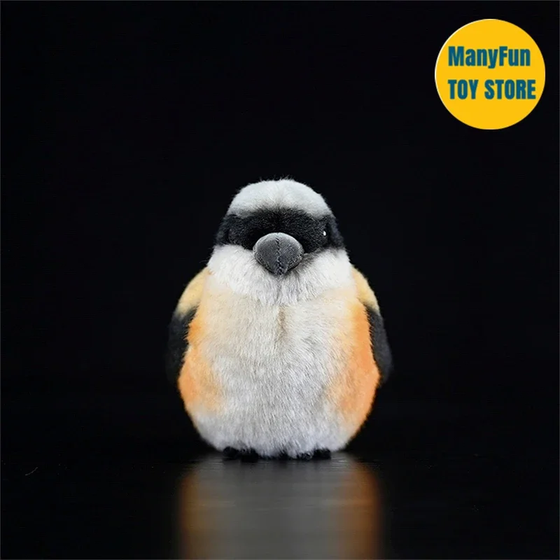 Shrike ألعاب من نسيج مخملي جزار الطيور بلوشي لانيوس شاتش Peluche موزو نابض بالحياة الطيور الحيوانات المحشوة محاكاة دمية لعبة أطفال