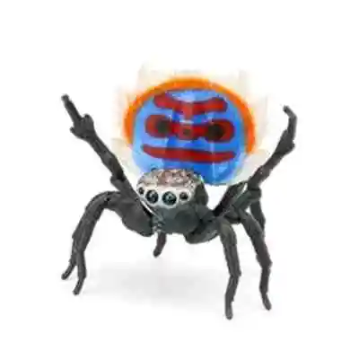Original Bandai Big Biological Map Spider Caterpilla Gashapon Qversion Movable Insect Action Figure Model Toys Gifts Collection