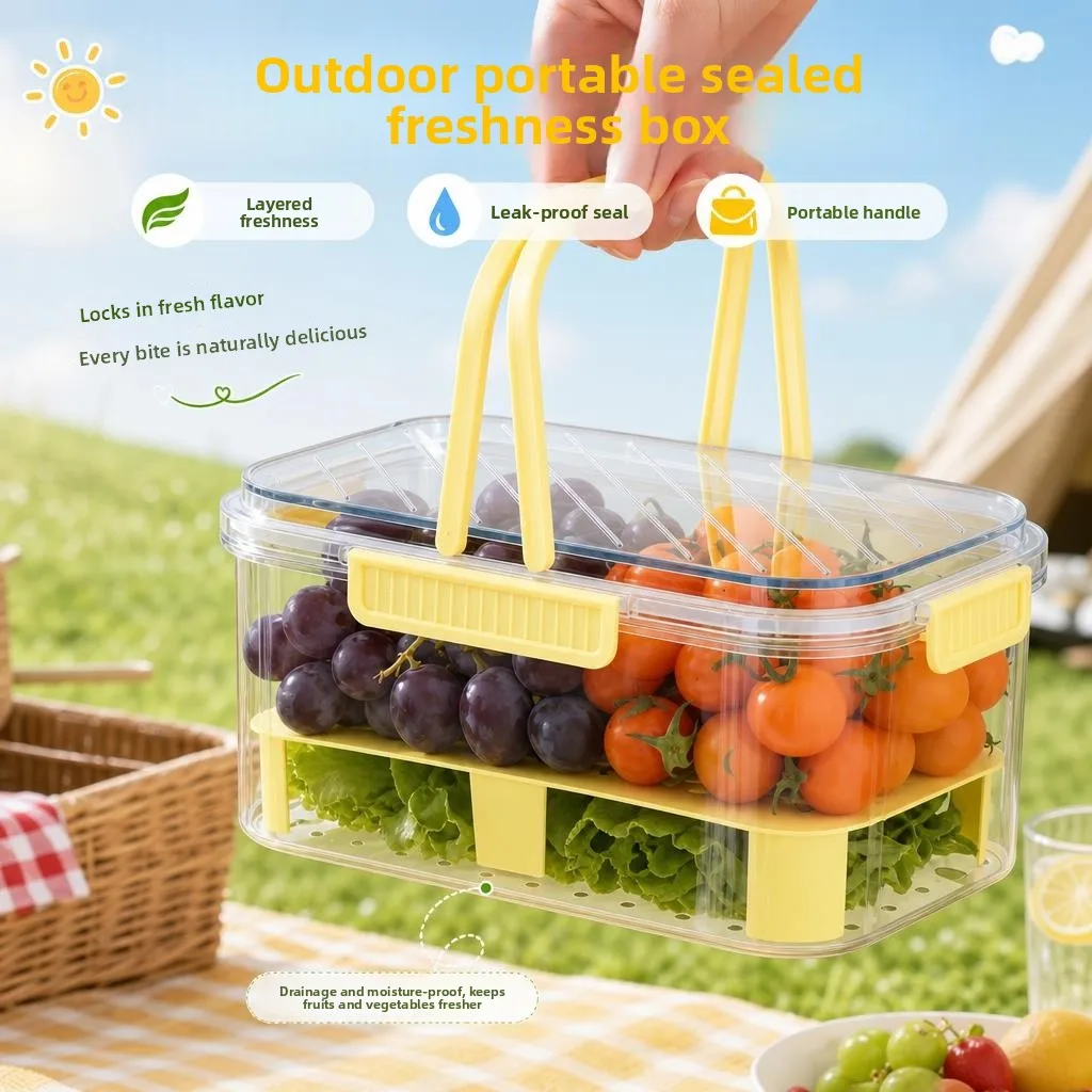 boite-de-conservation-alimentaire-portable-grande-capacite-sac-isotherme-conteneur-scelle-pour-fruits-ideal-pour-le-camping-et-les-pique-niques-en-exterieur-positive-rich