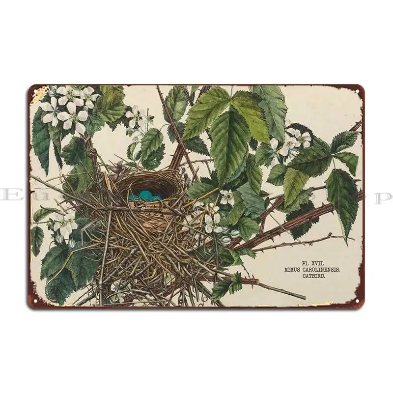 Металлические знаки в виде гнезд и яиц птиц, кинотеатральные таблички, Настенный декор на заказ, железный жестяной знак, плакат