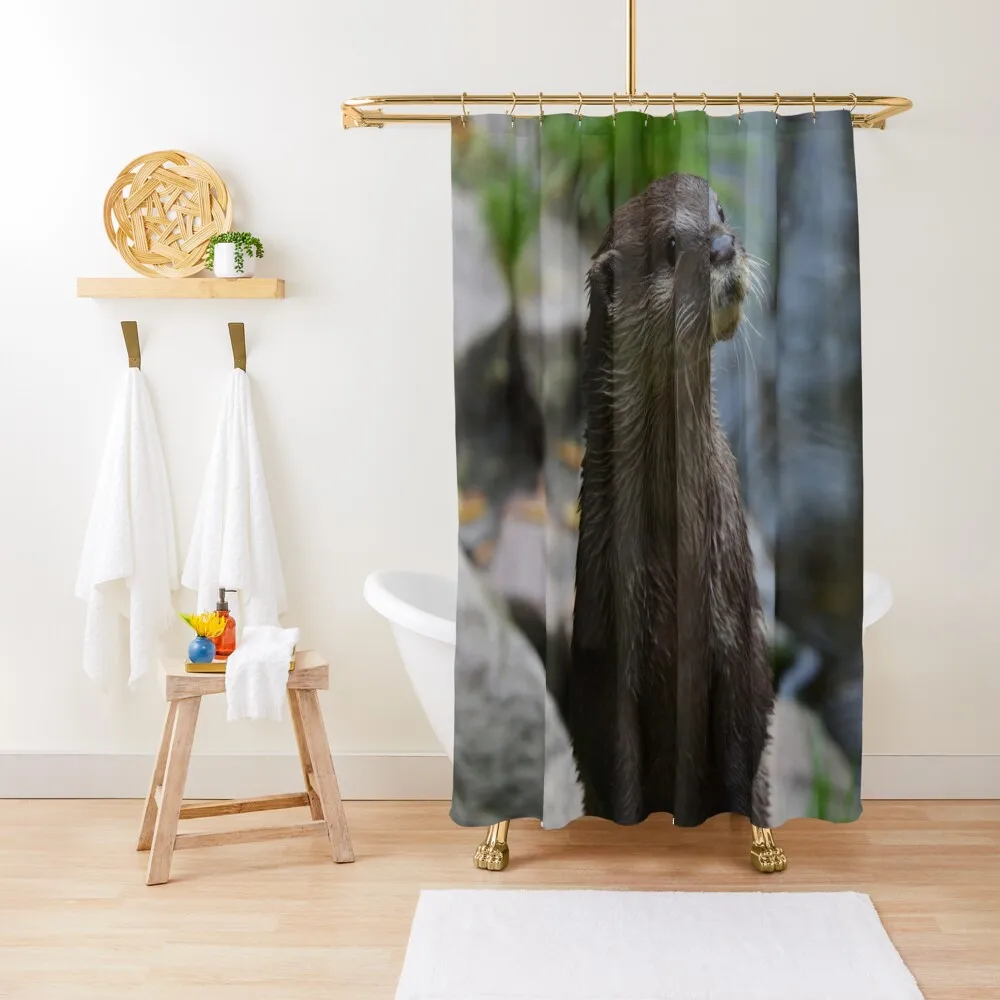 Otter Closeup Shower Curtain Bathroom Box Bathroom And Shower Curtain