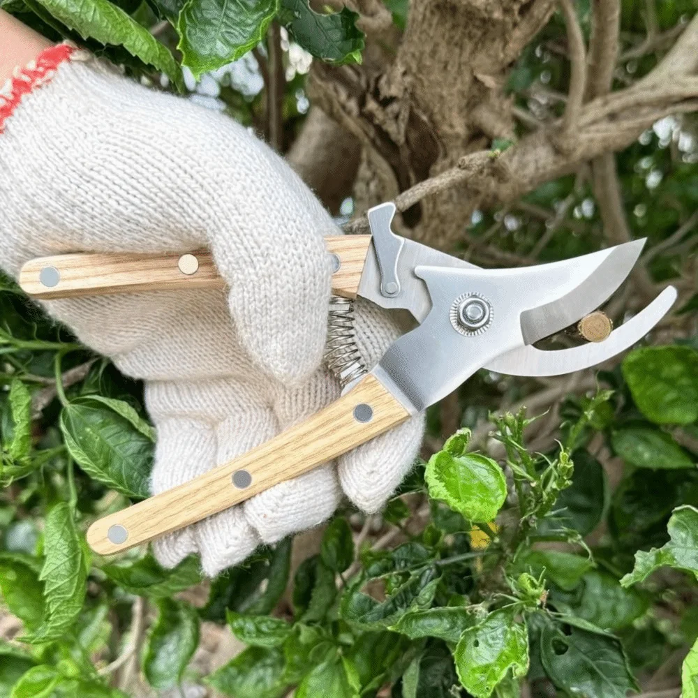 

Stainless Steel Pruning Shears Anti-slip Wooden Handle Branch Trimmer Multi-functional Safety Lock Garden Scissors Fruit Tree