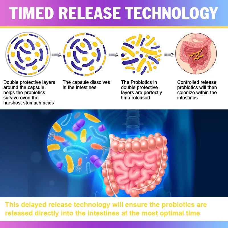 Bcuelov-حماية الجسم المحسنة ، البروبيوتيك تحتوي على إنزيمات ضخمية لتوازن gastro60 ، تحتوي على الهضم