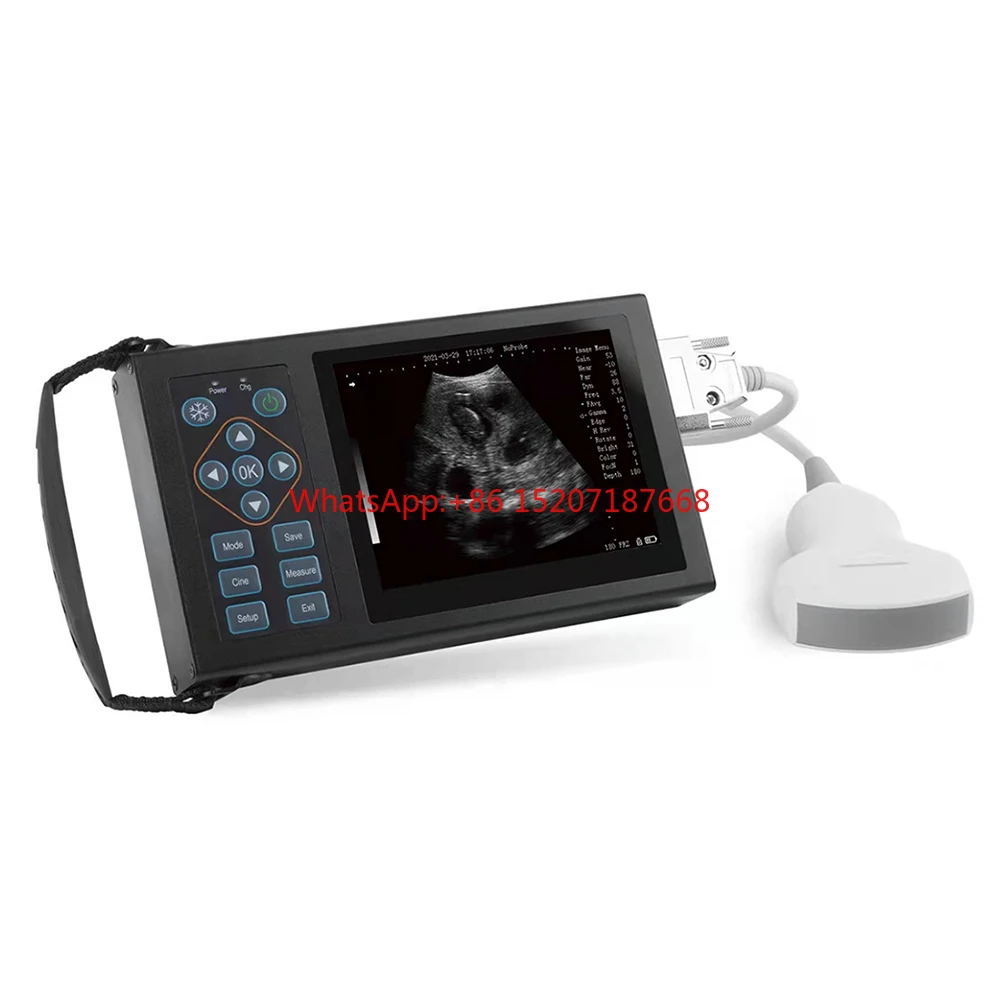 

Competitive Price Portable Handheld Veterinarian Clinic Ultrasound Machine For Animals pregnancy- Diagnostics