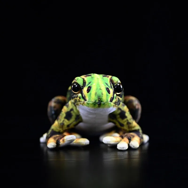 Black Spot Side-groove Frog Plush Toy Field Mouse Doll Frog Figurine Animal Lifelike Animals Simulation Stuffed Doll Kawaii Toy