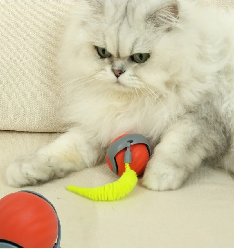 Thumbnail 3 - #60 Best Cat Toys to Buy In 2026