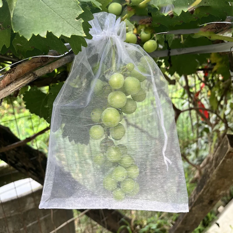 

50Pcs Fruit Protection Netting Bags With Drawstring Reusable Grape Grow Bags Strawberry Cover Mesh Vegetable Bags For Anti-Bird
