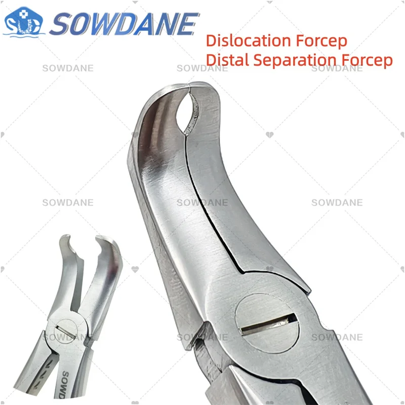 

Dental Wisdom Extraction Plier Wisdom Distal Separation Forcep Wisdom Teeth Separating Tooth Dislocation Plier Tool Ortho Tool