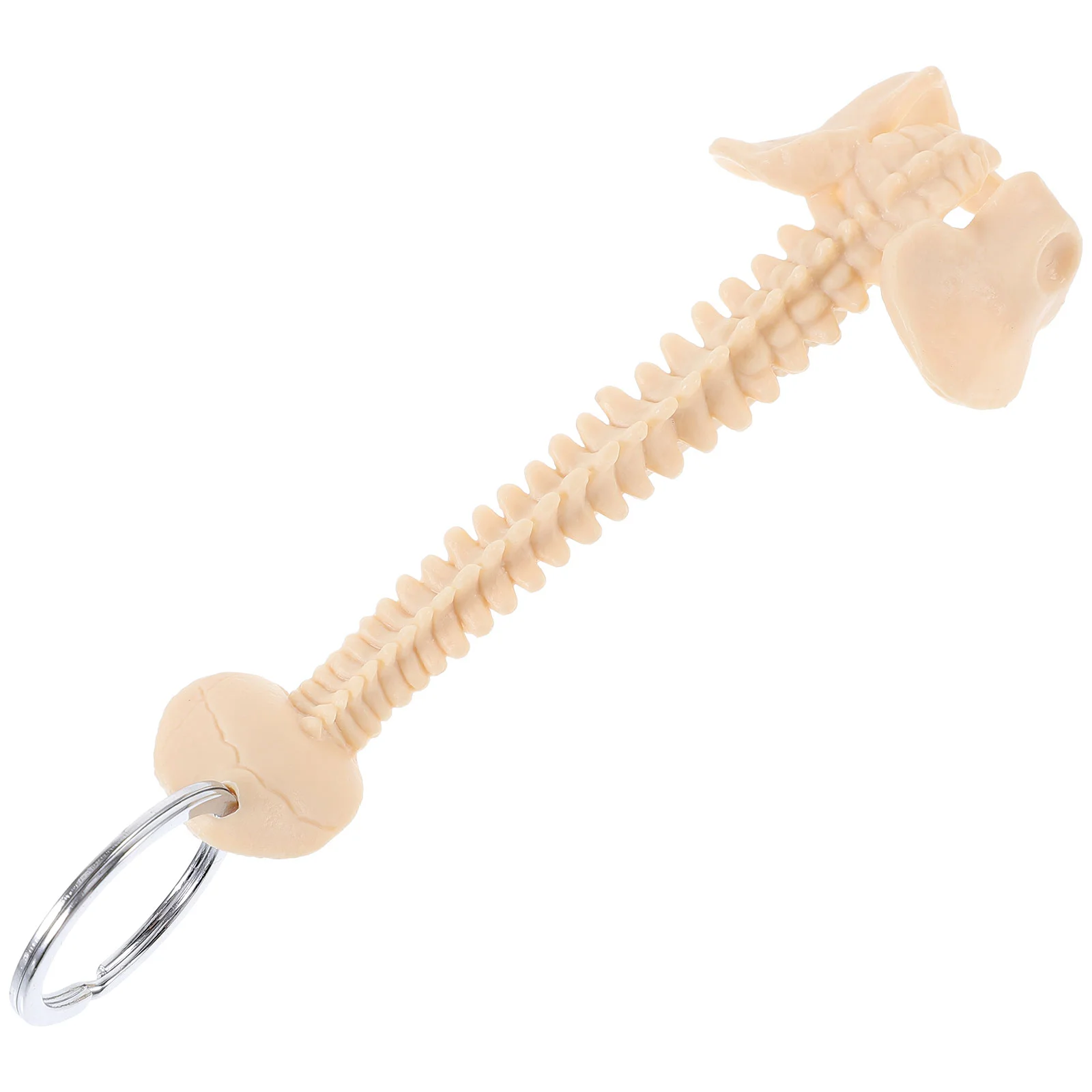 Human Spine Model Keyring Car Keychain Teaching Aid Toy Ornament Lanyard Plastic Pendant Accessories