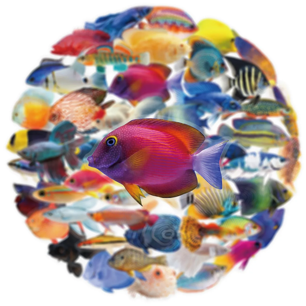 50PCS Transparent PET Fish Stickers Phone Luggage Water Cups Computer Office Stationery Decoration Waterproof Stickers image 6