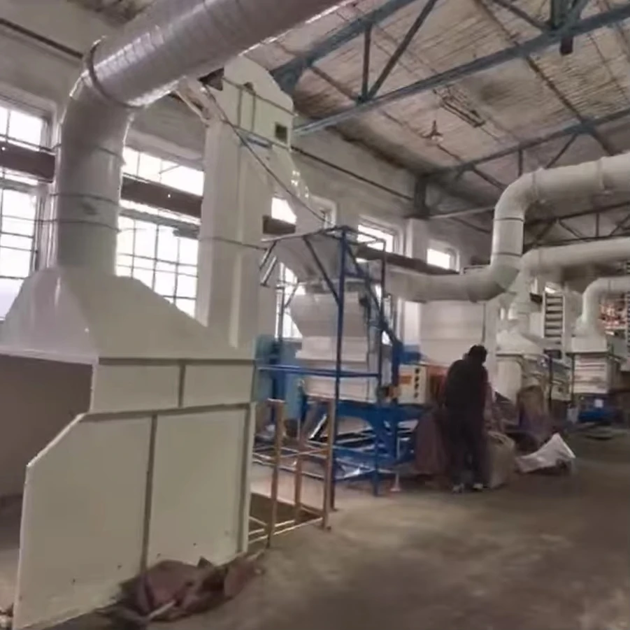 FL Mini Coffee Bean Sorting Roaster Line Anti-clog Feeding Hopper Easy Clean SUS304 Roasting Chamber For New Farmers