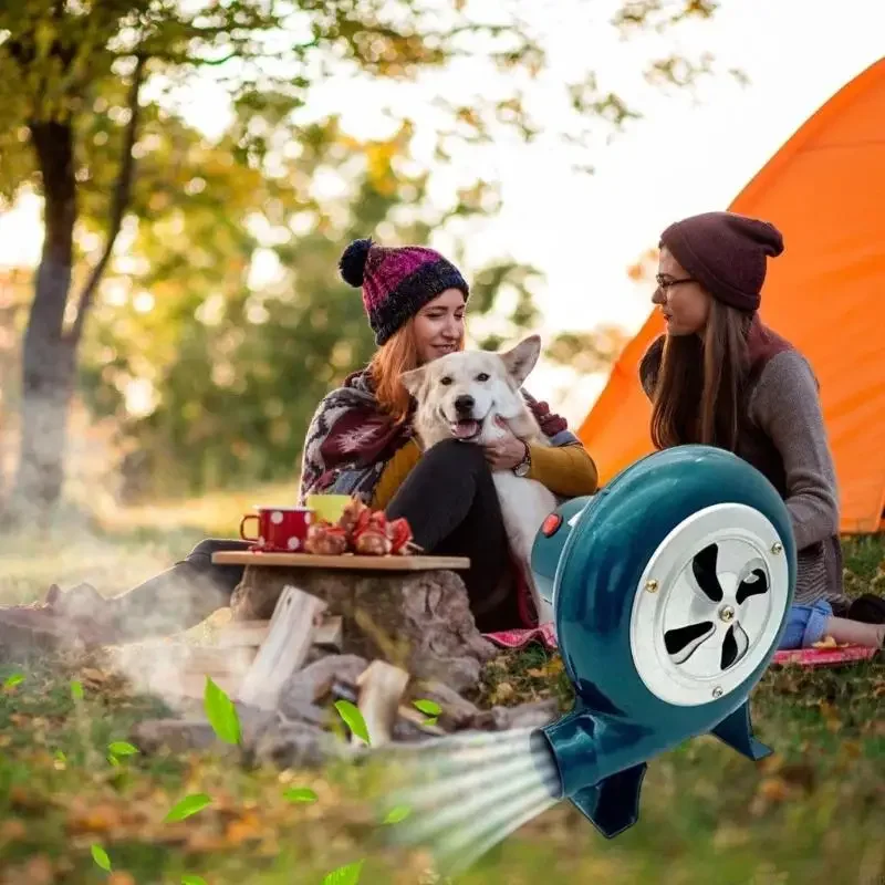 Soplador eficiente para exteriores, 80W, 48V, barbacoa portátil, ayuda para parrilla, triciclo eléctrico, suministro energía