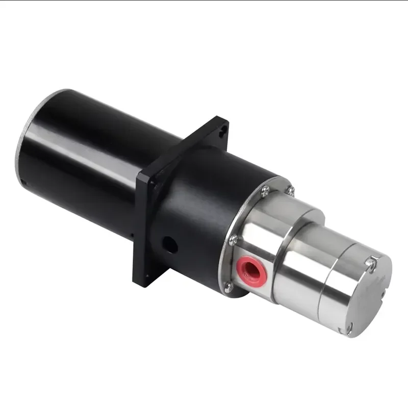 12V 24V Non Leakage Chemical Small Magnetic Drive Pump Gear Metering Pump Mini Gear Water Pump Stainless Steel