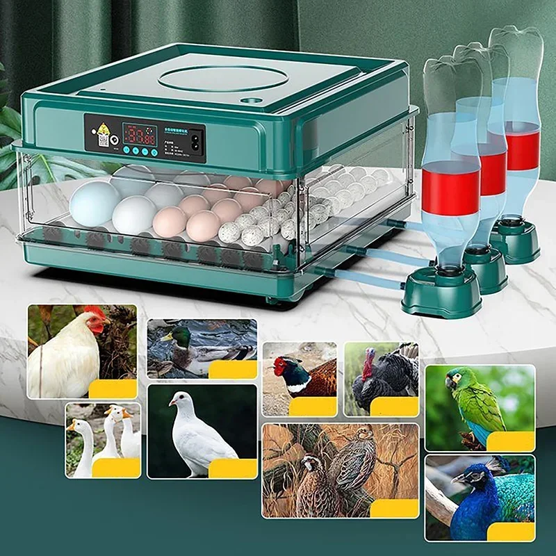 Fully Automatic Intelligent Double Power Incubator Mini Household Chicken, Duck, Goose, Pigeon, Peacock And Parrot Egg Incubator