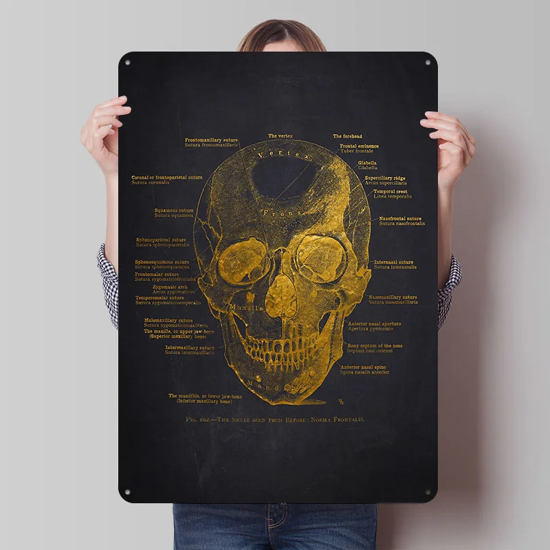 Goldener Totenkopf Anatomie Metallposter – Individuelle Wandkunst, Retro Vintage Blechschilder für Männerhöhle, Schlafzimmerdekoration, Heimdekorationsartikel