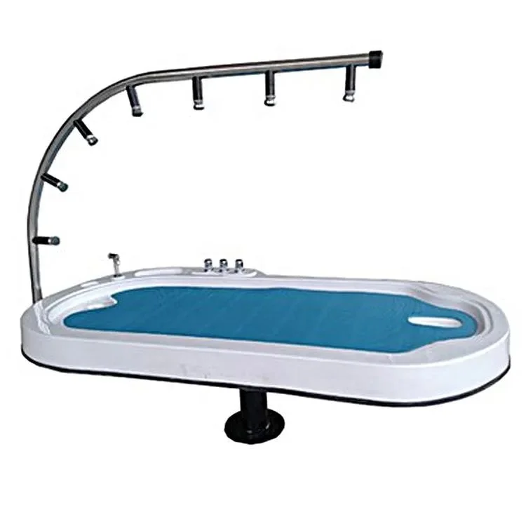 Vichy Shower Bed Table Water Massage Therapy Spa Capsule
