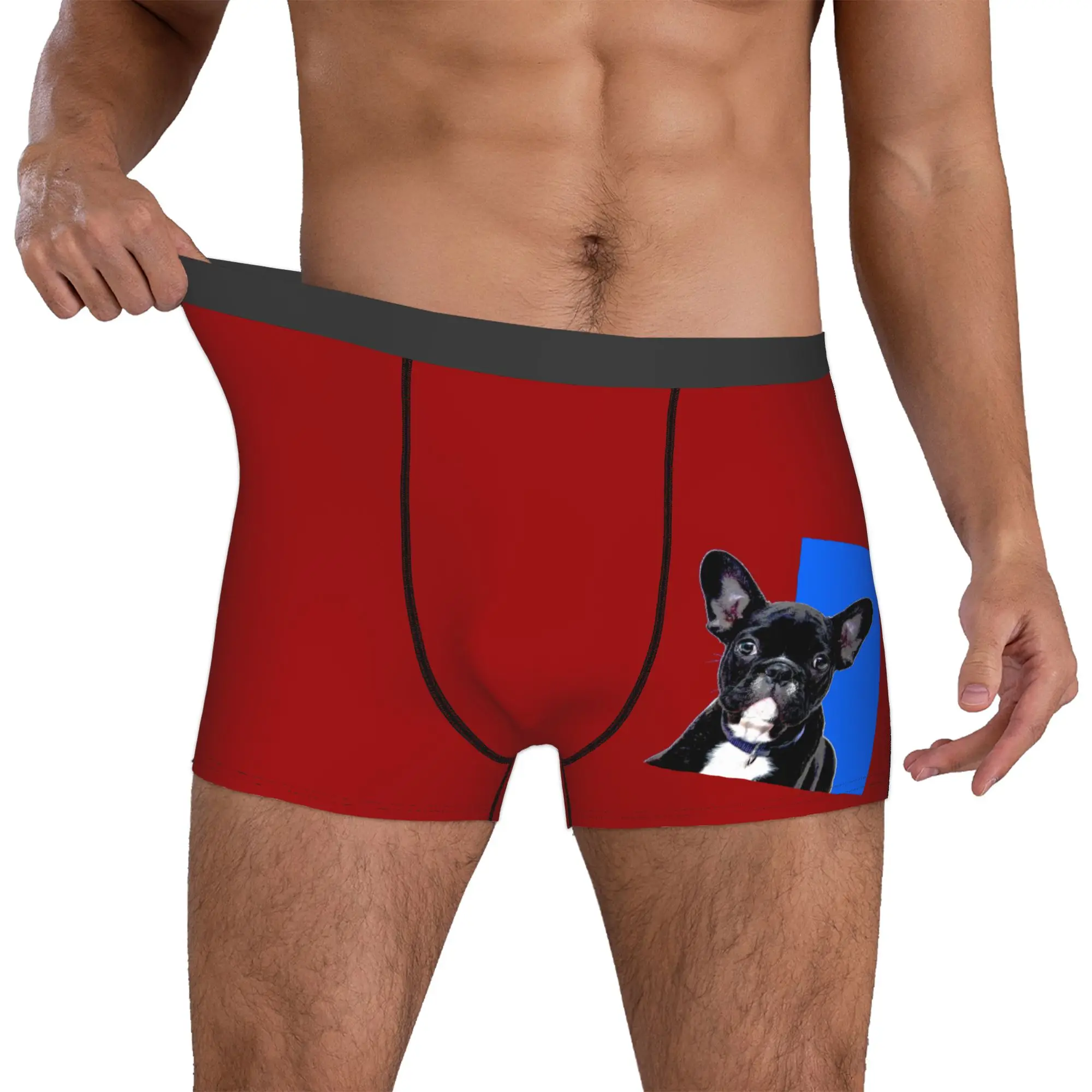 

Customized Funny Fashion French Bulldog Pet Dog Boxers Shorts Panties Male Underpants Stretch Briefs Underwear