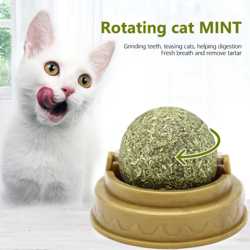 Pet Cat Scratcher Cat Tower Cat Litter Tray Catnip Pet Supplies For Cats Cat Toy