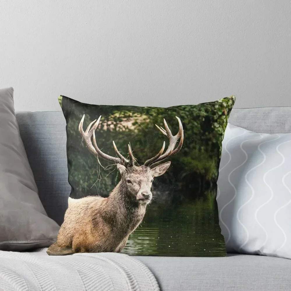 

Deer in the water Throw Pillow Marble Cushion Cover Pillow Case Christmas Sofa Cover pillow