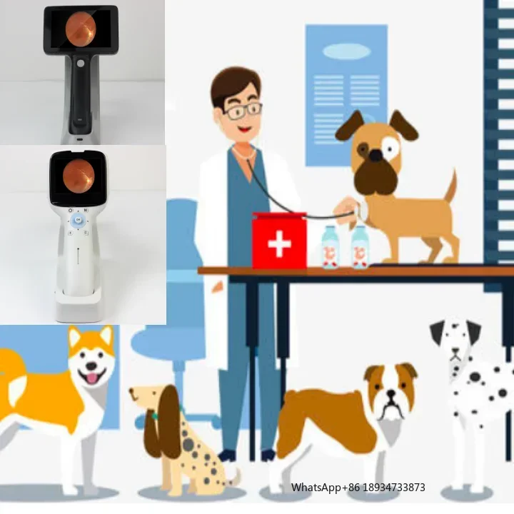 كاميرا شبكية رقمية محمولة باليد بدقة 42 درجة عالية الدقة لعام 2022 FC-100