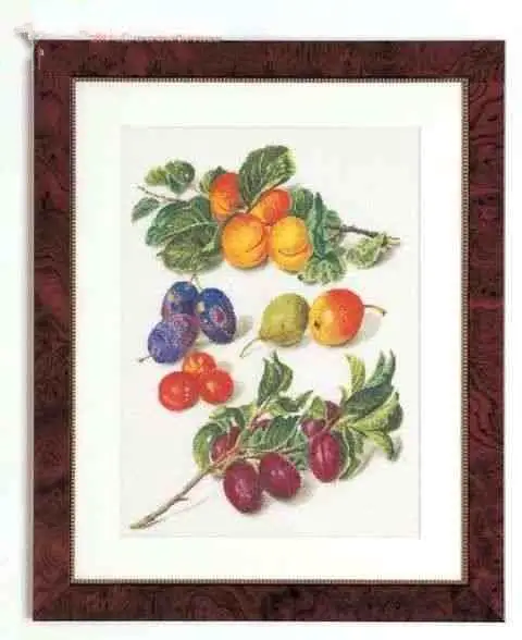 

Embroidery Threads for Embroidery, Cross Stitch Kits, Christmas Set, Small Fruit, 2-48-63