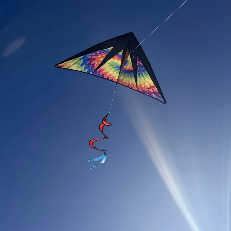 Free Shipping delta kites flying for kids kites factory windsurfing Eagle kite professional kite Power kite adult flying kites