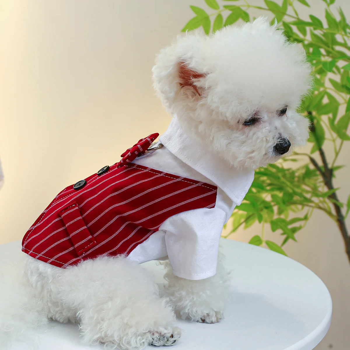 1PC Pet Clothing Dog Spring and Autumn Wine Red Stripe Gentleman Suit Shirt Coat With Drawstring Buckle For Small Medium Dogs