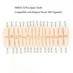 Kilgore nissin 200 tipo 32 peças substituição dentes de reposição dental typodon modelo m8025 dentes modelo