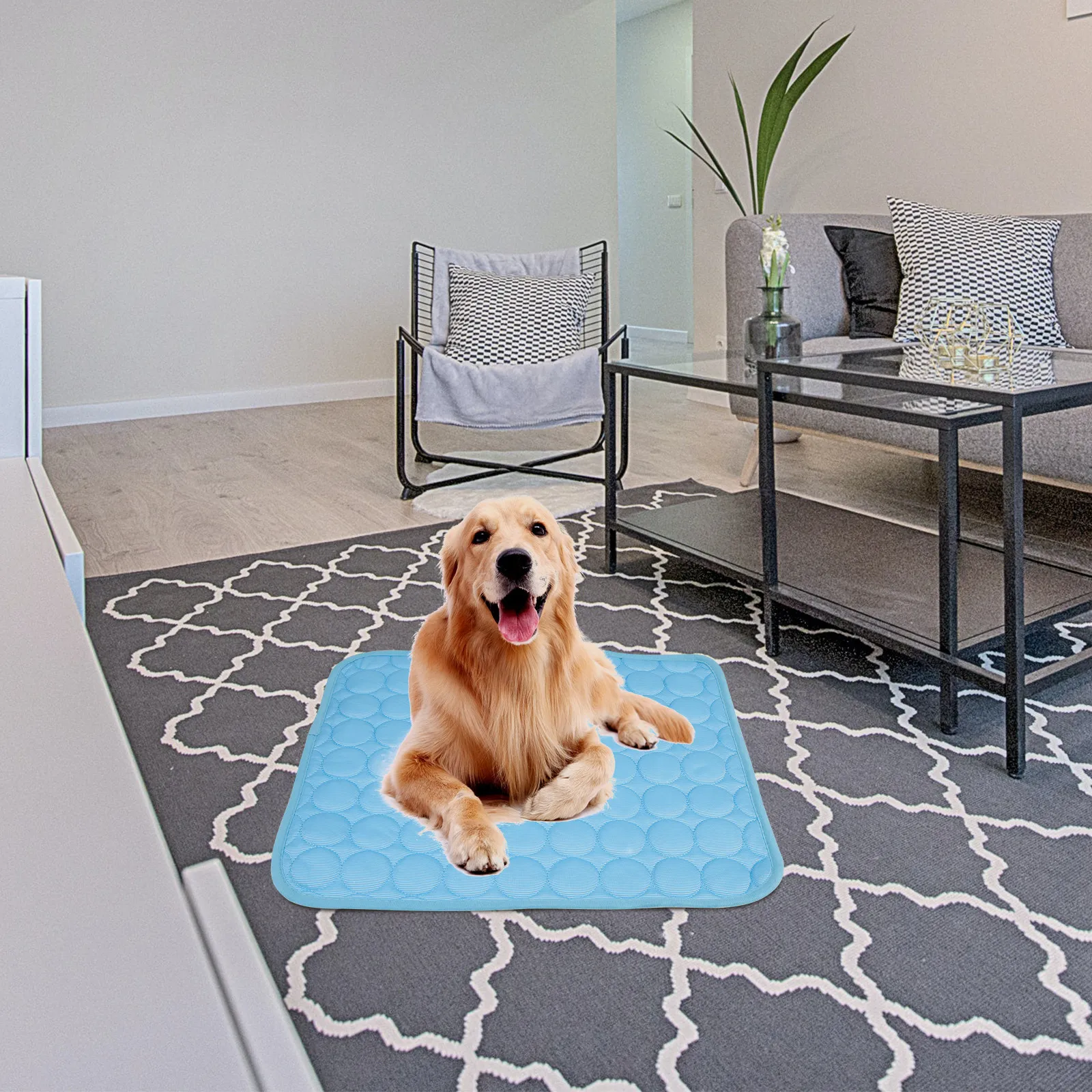 Pet Cooling Mats Under $15 for Small Dogs and Cats product 2