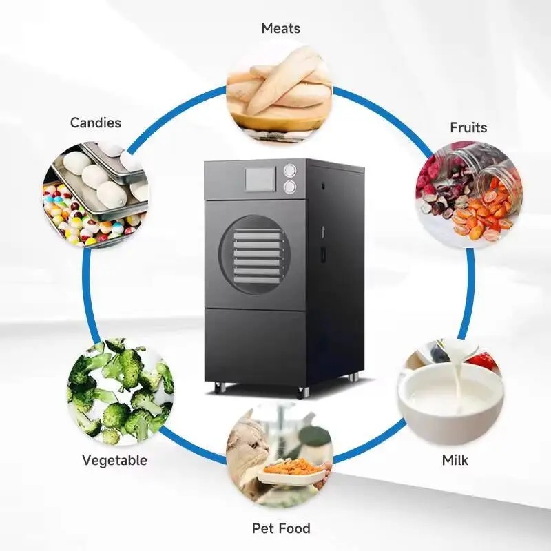 

Hot Sale High Quality Vacuum Freeze Dryer Laboratory Pet Food, Fruit, Caterpillar Fungus, Tea, Vacuum