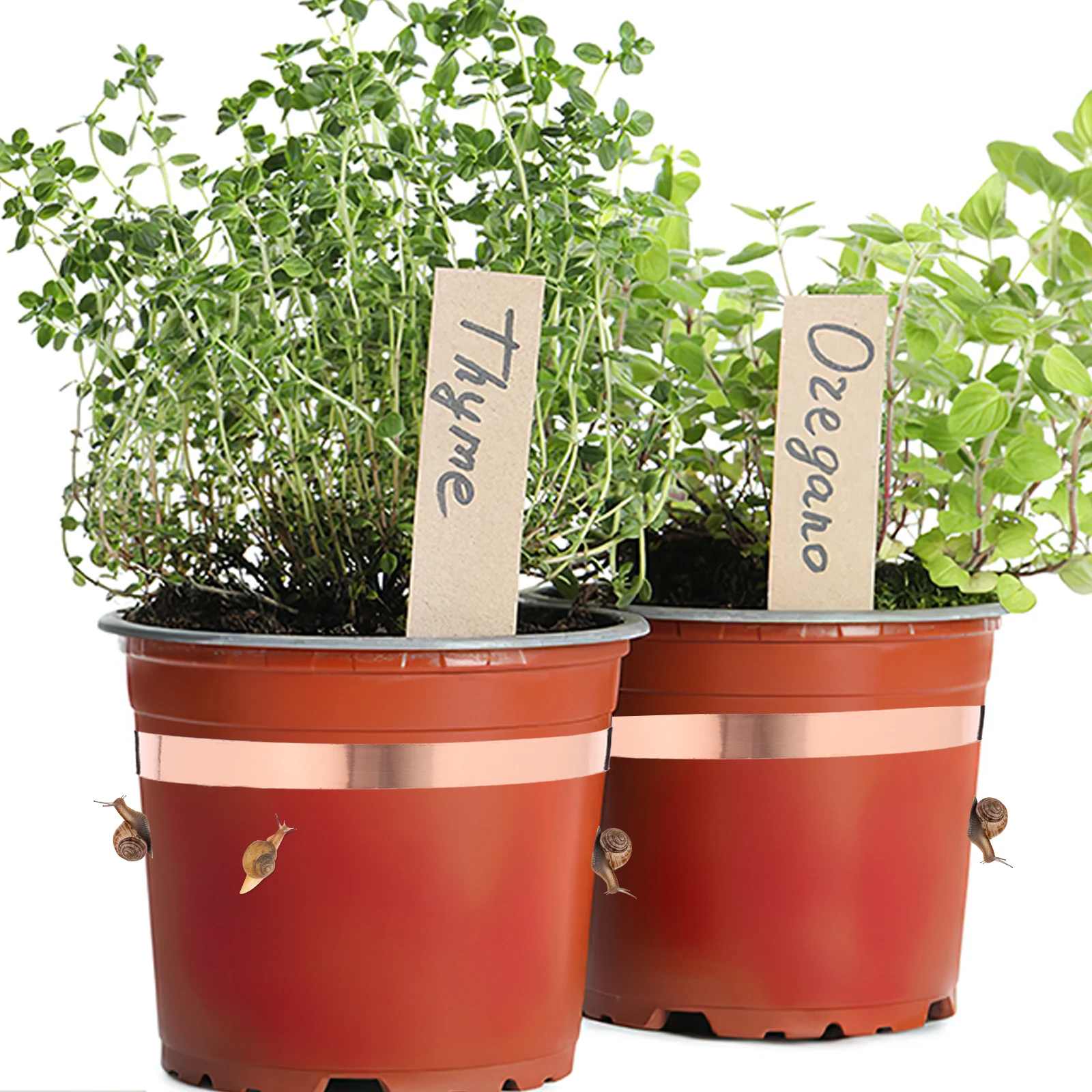 

Copper Tape Plants Protector Self Adhesive Snail Control Garden Supply Winter Wrap Outdoor Wrapper Highly Effective Plants