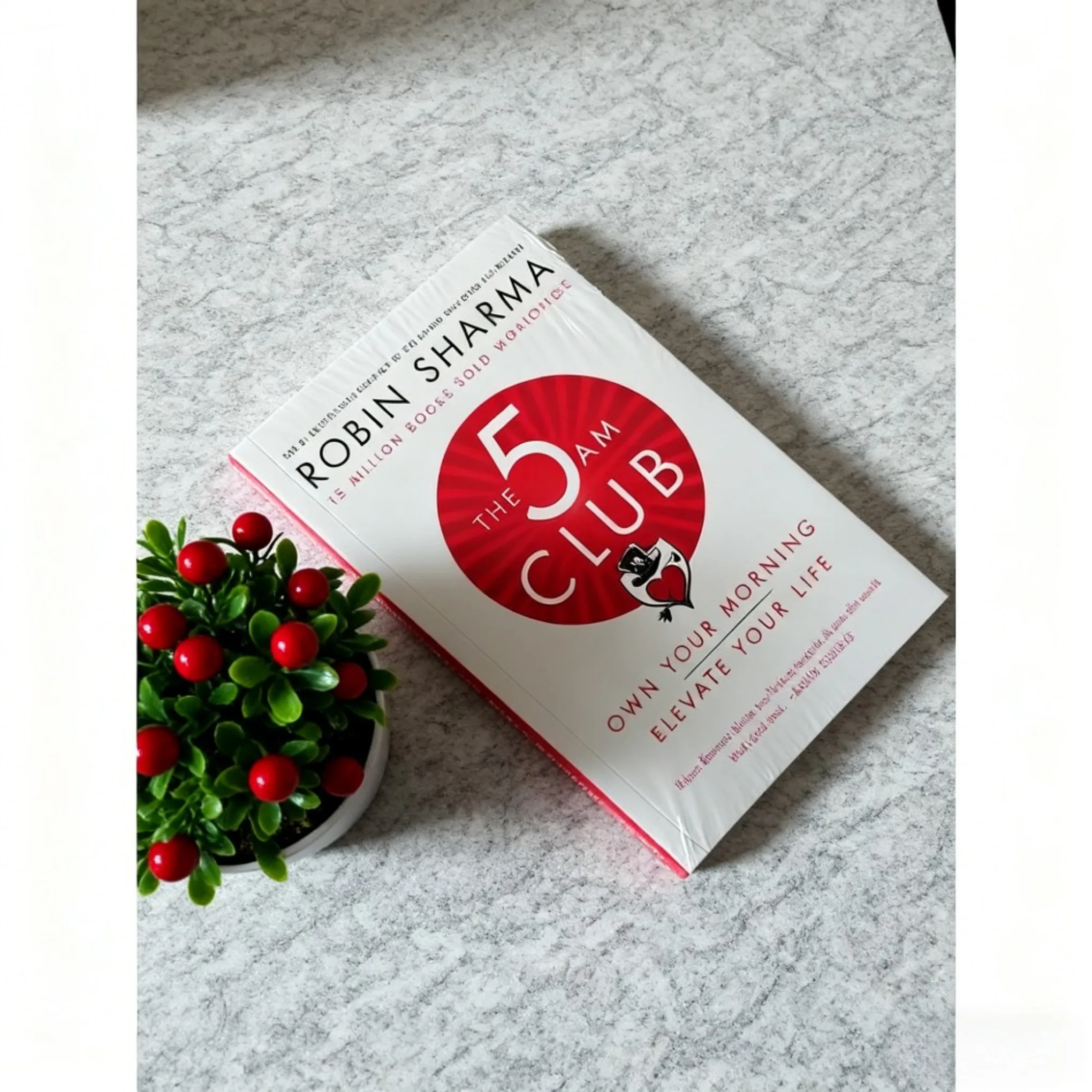 

The 5AM Club By Robin Sharma Own Your Morning Elevate Your Life English Book