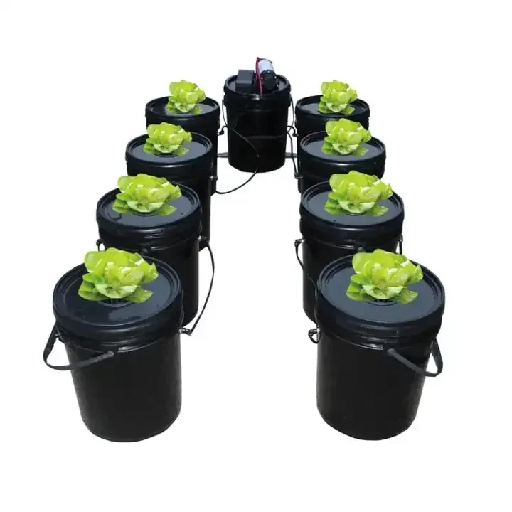 Hydroponic System 5 Gallon 4 6 8 16 Buckets Deep Water Culture Growing Bucket Hydroponics Grow Kit with Pump Air Stone