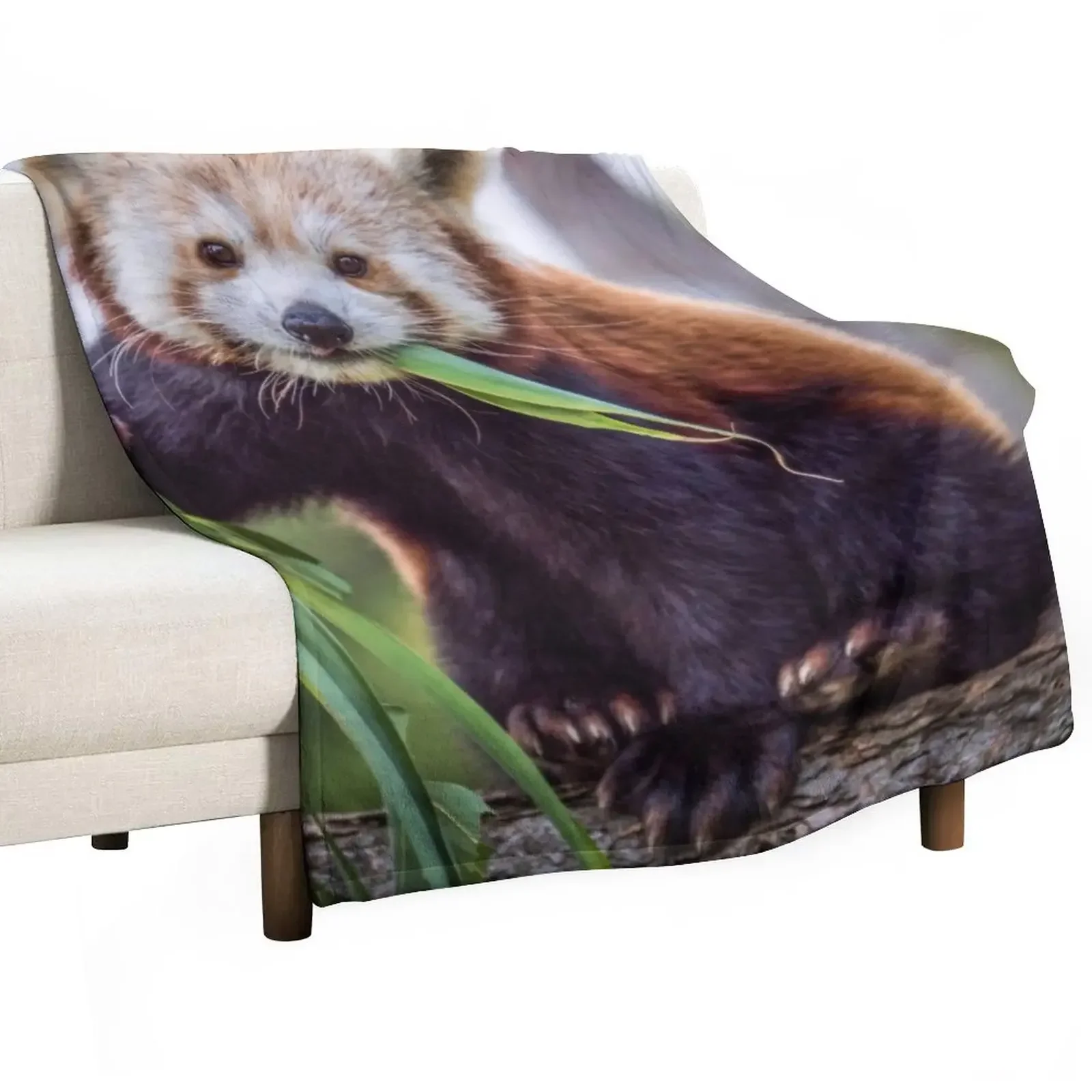 

Red Panda Throw Blanket Heavy Beach Retros Blankets